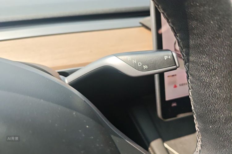 Tesla Model 3 2023 car image #16