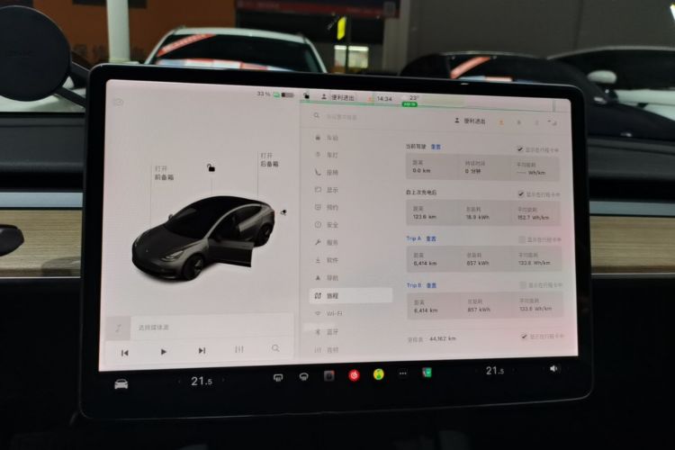 Tesla Model 3 2021 car image #12