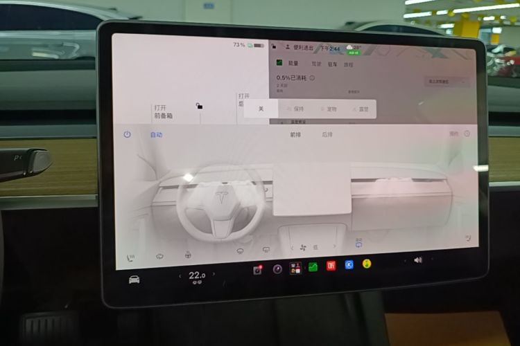 Tesla Model 3 2022 #13 Tesla Model 3 2022 imagem de carro #13