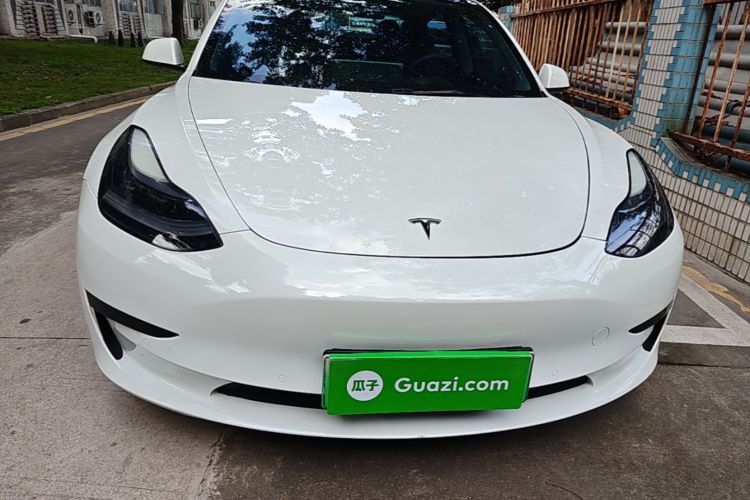 Tesla Model 3 2021 #3 Tesla Model 3 2021 car image #3
