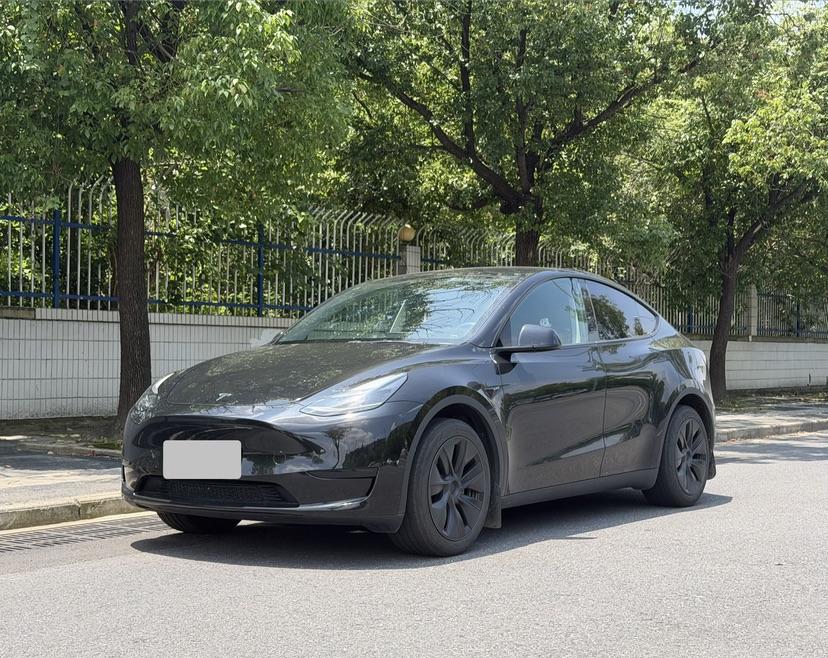 Tesla Model Y 2023 Tesla Model Y 2023 car image