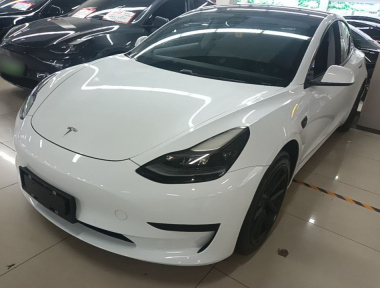 Tesla Model 3 2021 Tesla Model 3 2021 car image