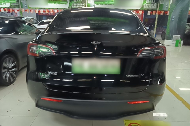 Tesla Model Y 2023 #6 Tesla Model Y 2023 car image #6