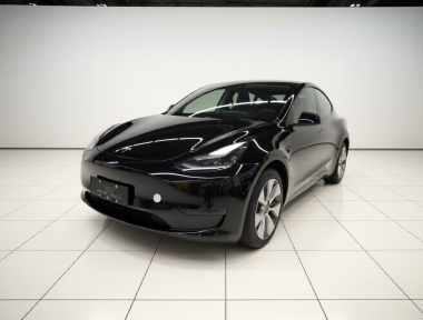 Tesla Model Y 2022 car image 