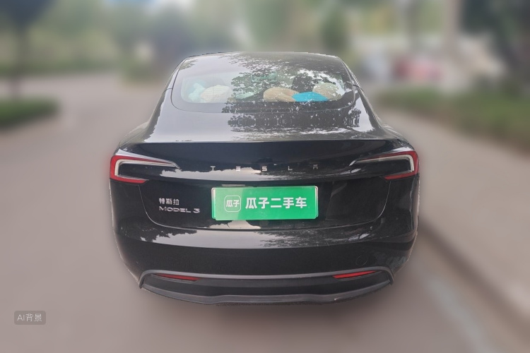 Tesla Model 3 2023 car image #6