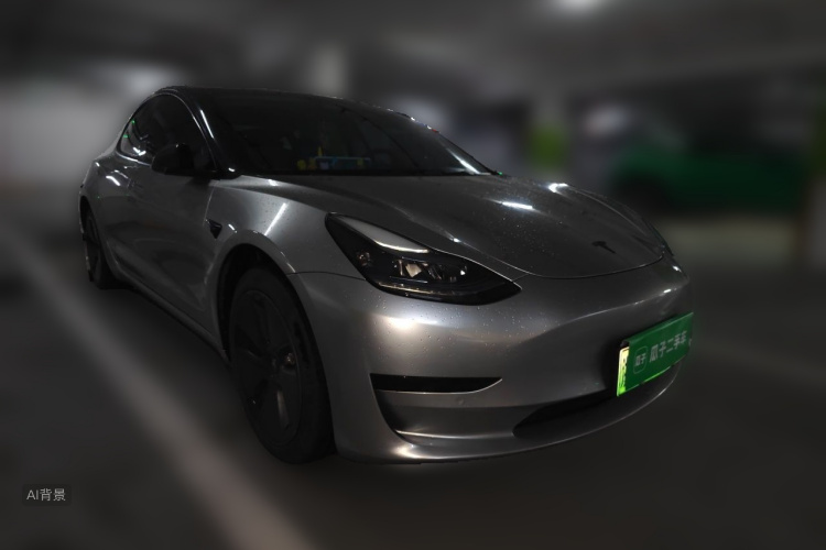 Tesla Model 3 2023 car image #4