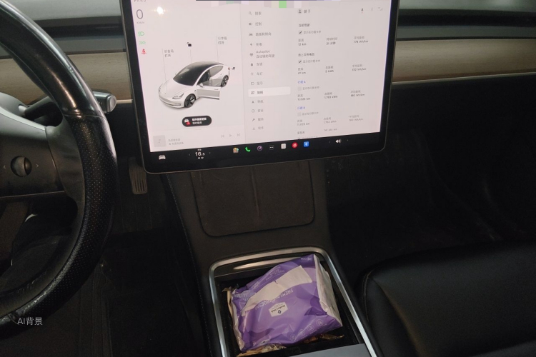 Tesla Model 3 2021 #15 Tesla Model 3 2021 car image #15