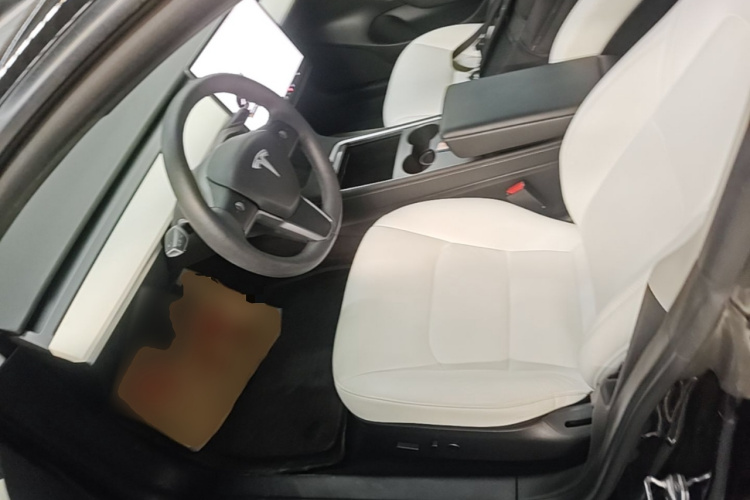Tesla Model 3 2021 #15 Tesla Model 3 2021 car image #15