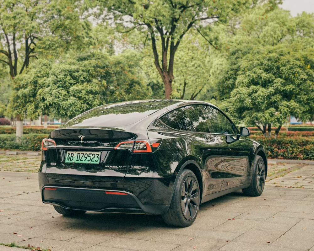 Tesla Model Y 2023 car image #6