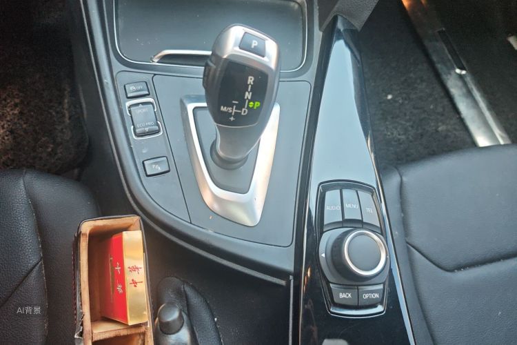 BMW 3 Series 2017 car image #16