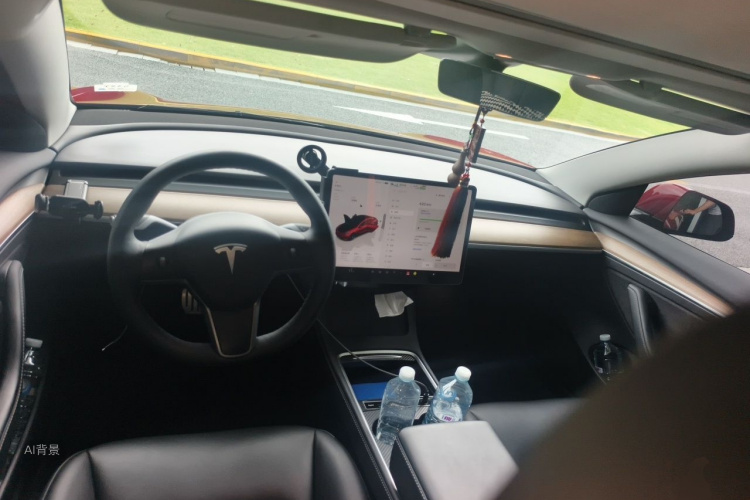 Tesla Model 3 2022 car image #11