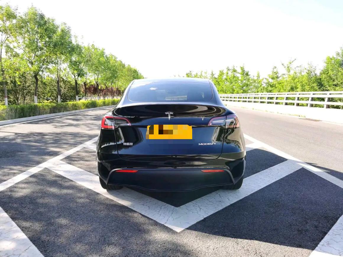 Tesla Model Y 2023 car image #7