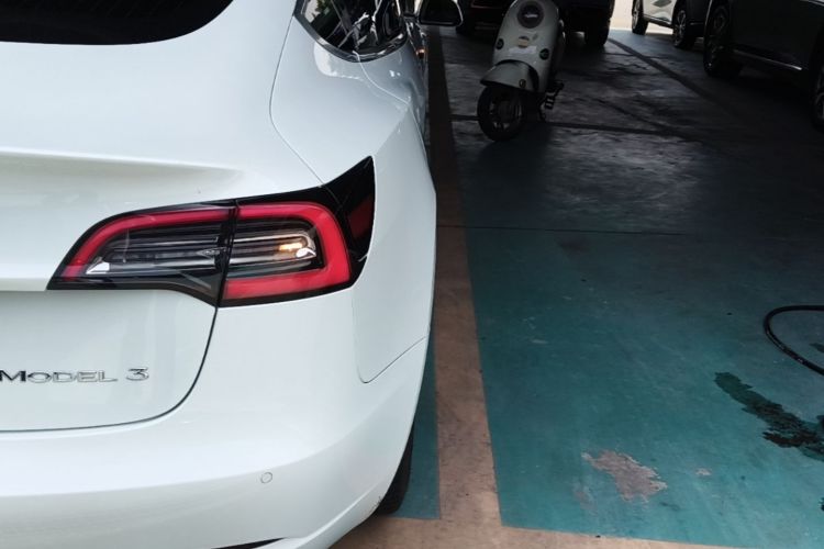 Tesla Model 3 2020 car image #8