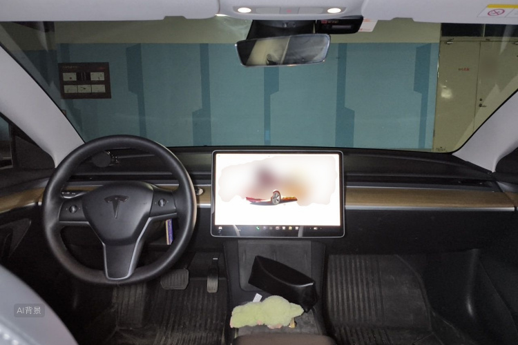 Tesla Model 3 2023 car image #11
