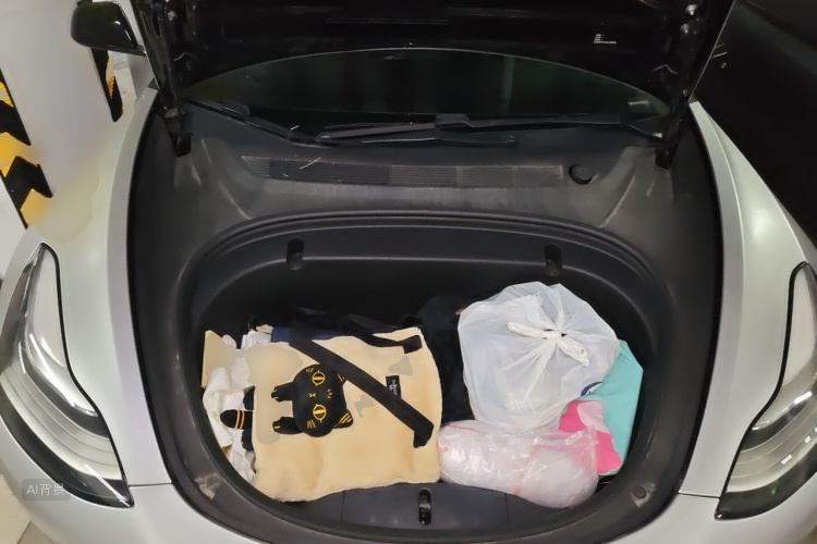 Tesla Model 3 2020 immagine di auto #22
