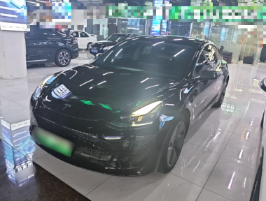 Tesla Model 3 2022 car image 