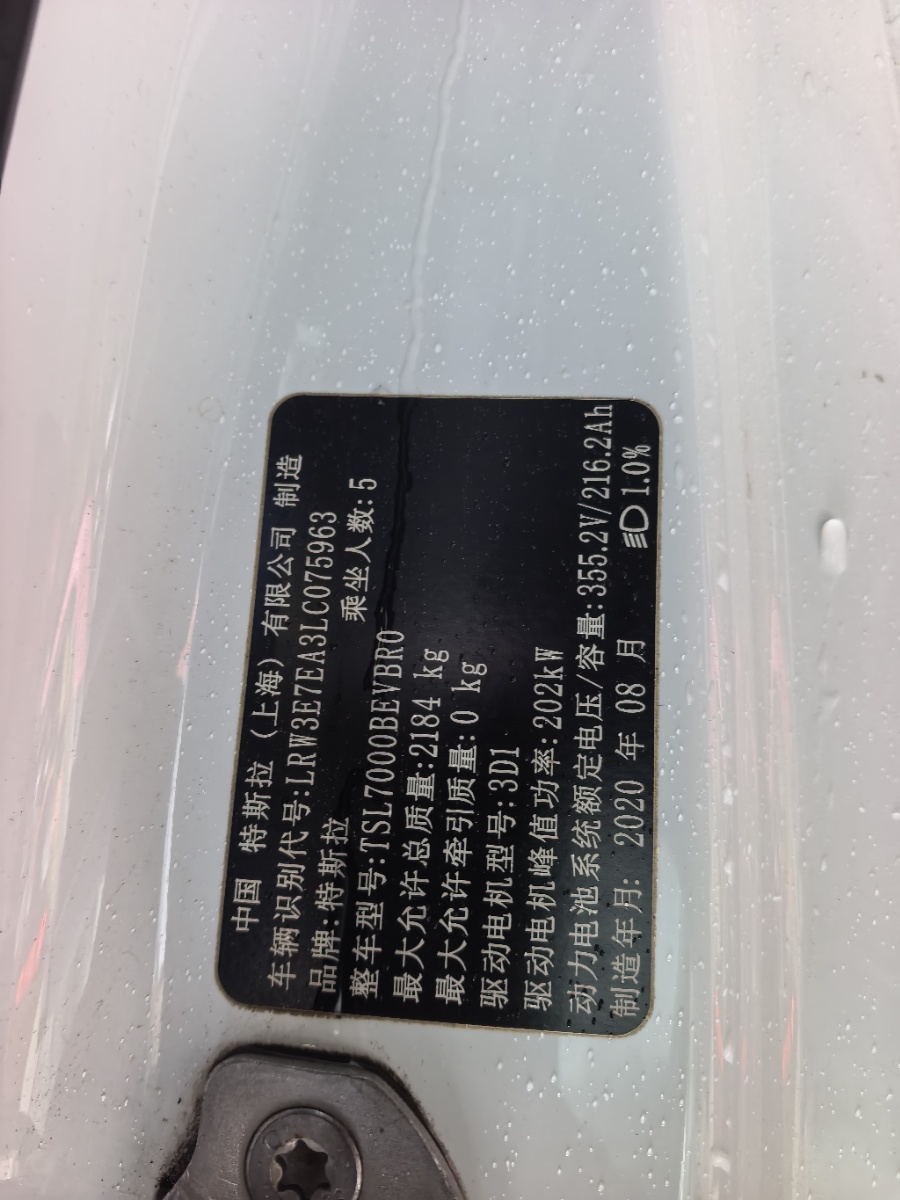 Tesla Model 3 2020 car image #12