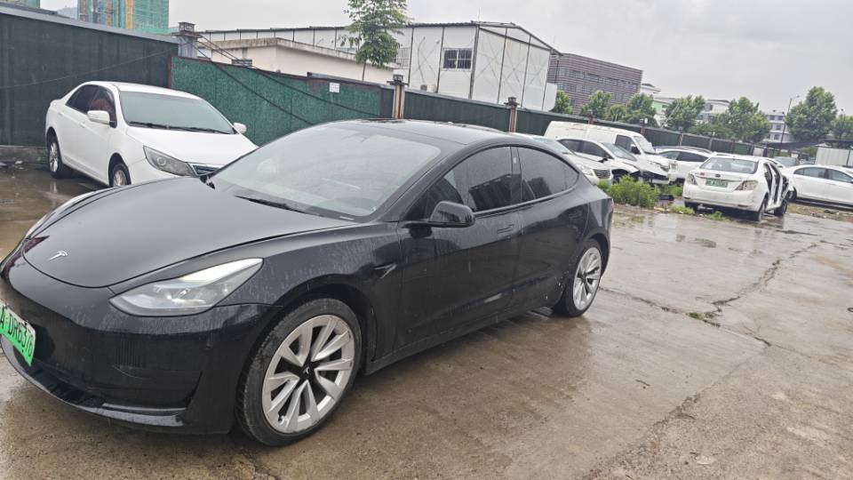 Tesla Model 3 2023 Tesla Model 3 2023 car image