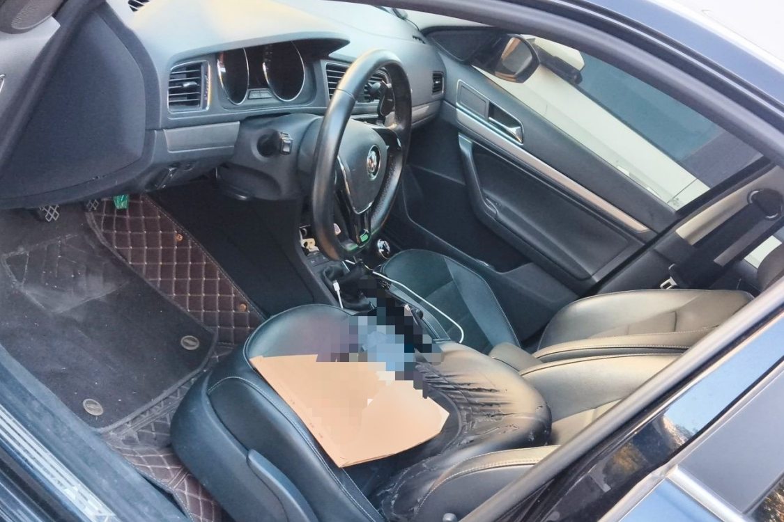 Volkswagen Lavida 2016 car image #18