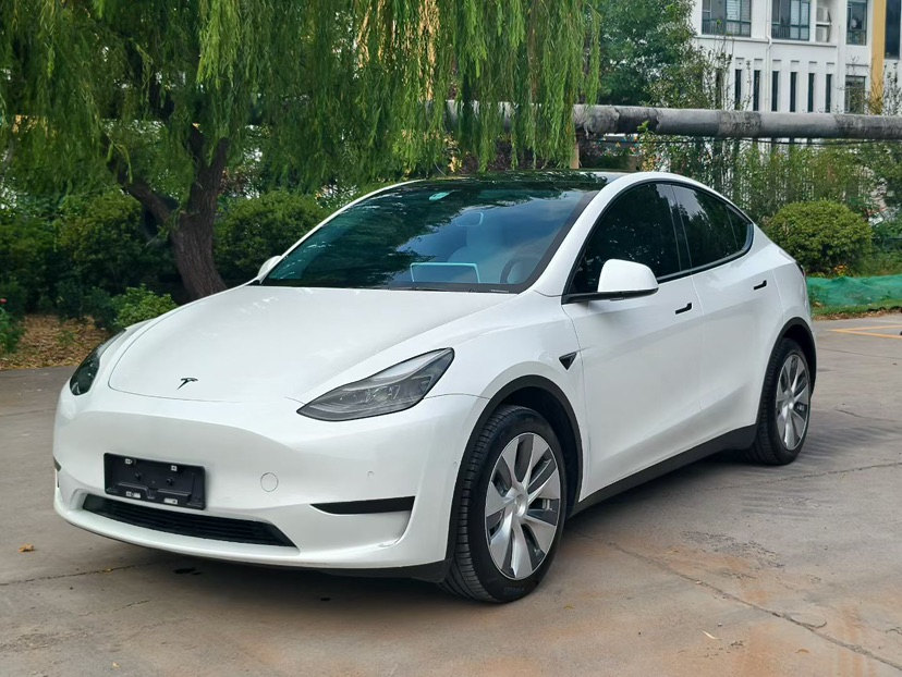Tesla Model Y 2022 Tesla Model Y 2022 car image