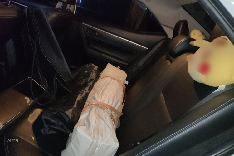 Toyota Corolla 2019 car image #19