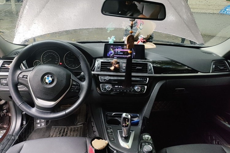 BMW 3 Series 2016 car image #11