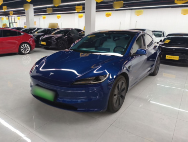 Tesla Model 3 2024 Tesla Model 3 2024 car image