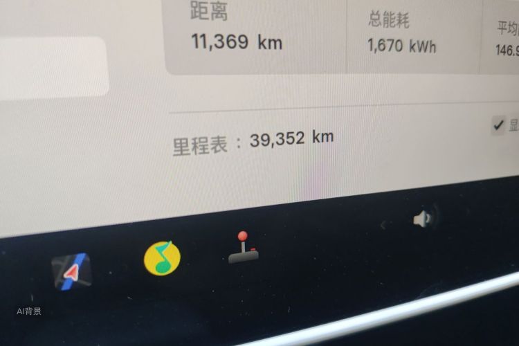 Tesla Model Y 2024 car image #14