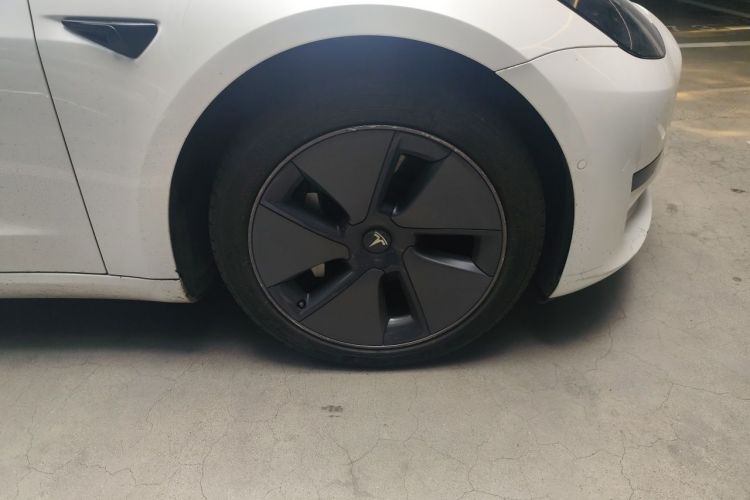 Tesla Model 3 2021 #9 Tesla Model 3 2021 car image #9
