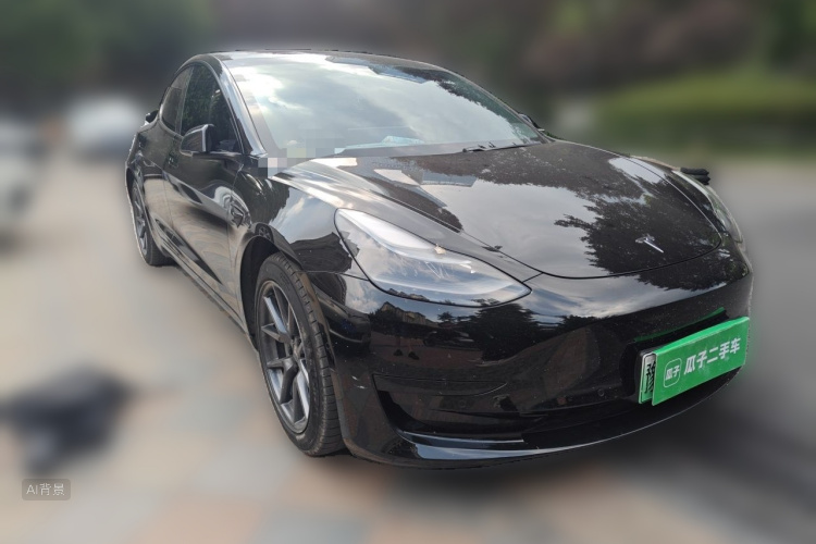 Tesla Model 3 2021 immagine di auto #4