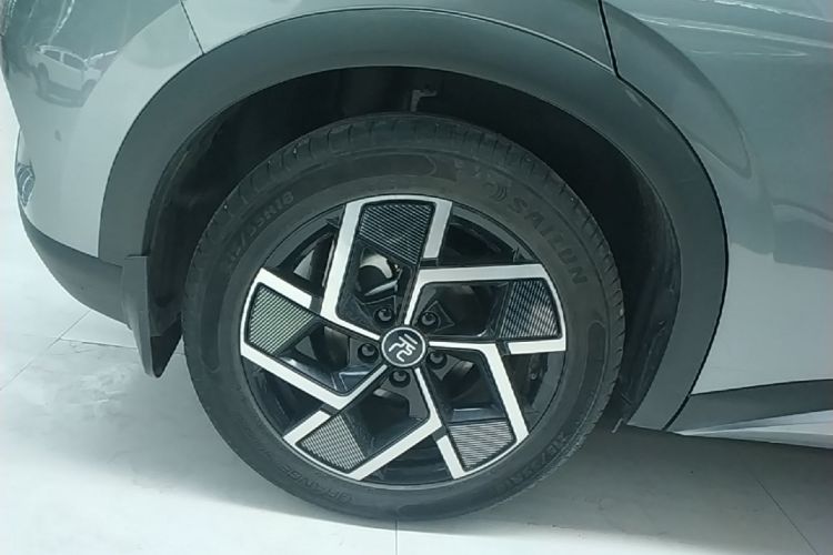 BYD Yuan Plus 2024 image de voiture #10