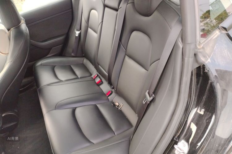 Tesla Model 3 2022 #19 Tesla Model 3 2022 car image #19