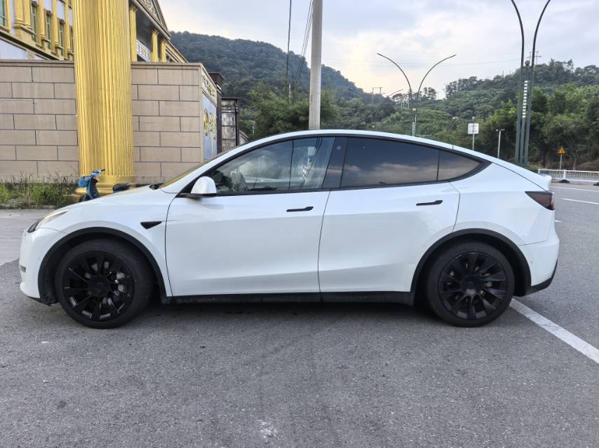 Tesla Model Y 2021 car image #4