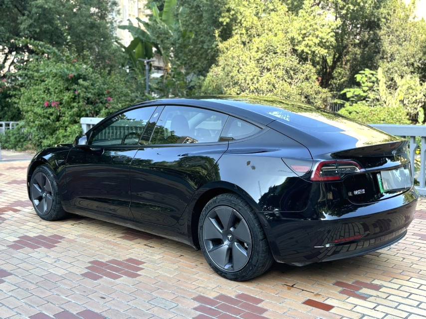 Tesla Model 3 2021 #7 Tesla Model 3 2021 изображение автомобиля #7