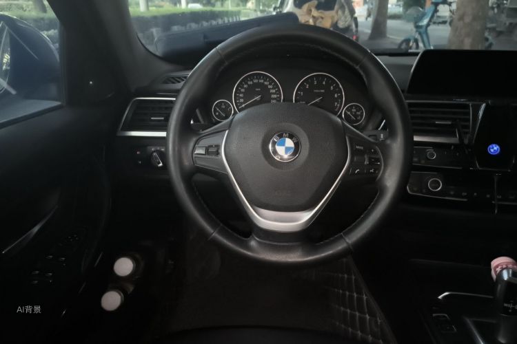 BMW 3 Series 2016 car image #12