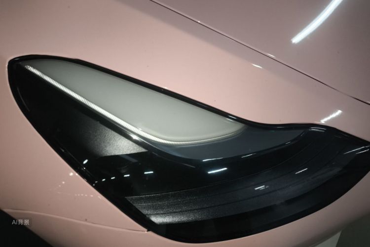 Tesla Model 3 2023 car image #8