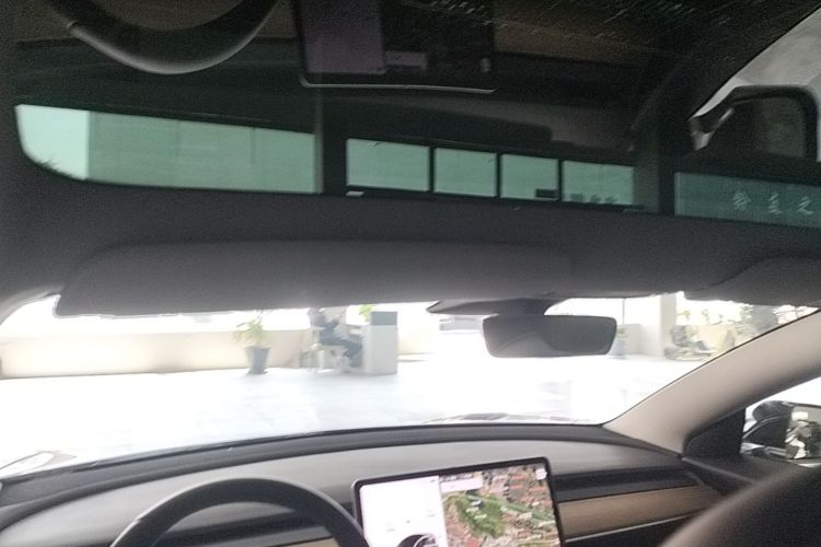 Tesla Model 3 2020 immagine di auto #18