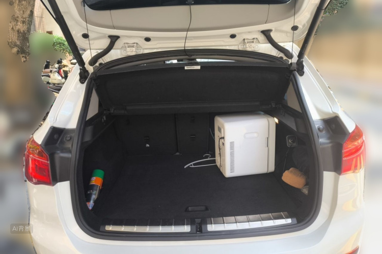 BMW X1 2018 car image #21