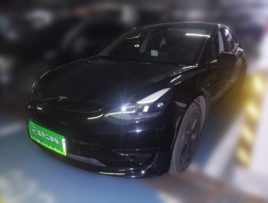 Tesla Model 3 2021 Tesla Model 3 2021 صورة سيارة