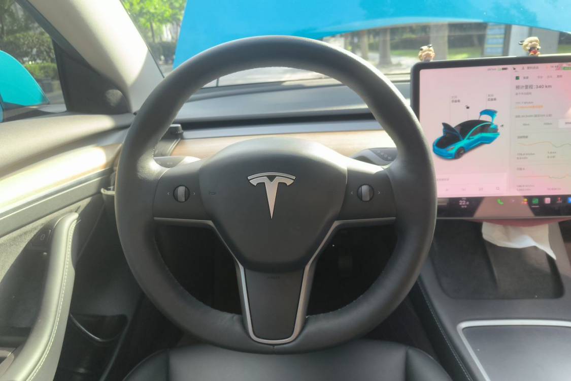 Tesla Model 3 2021 car image #22