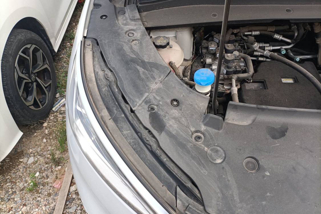 BYD Yuan Plus 2023 car image #11