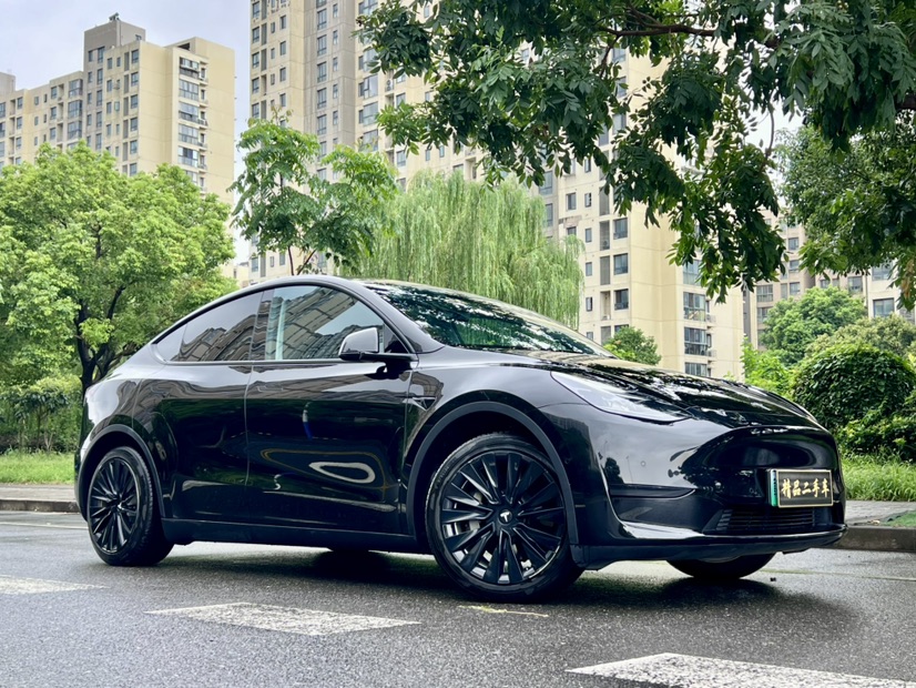 Tesla Model Y 2022 car image #2