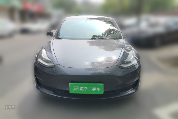 Tesla Model 3 2020 car image #3