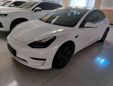 Tesla Model 3 2021 car image 