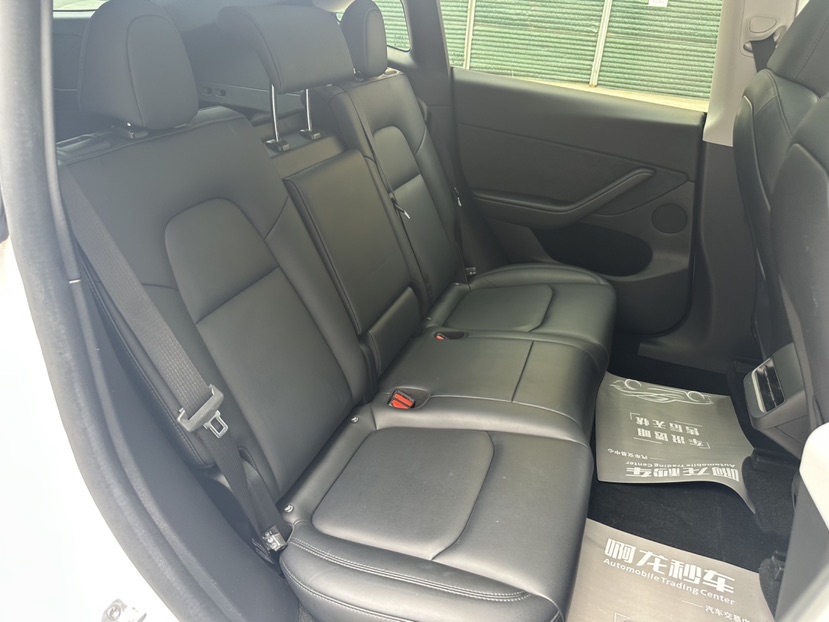 Tesla Model Y 2024 car image #6