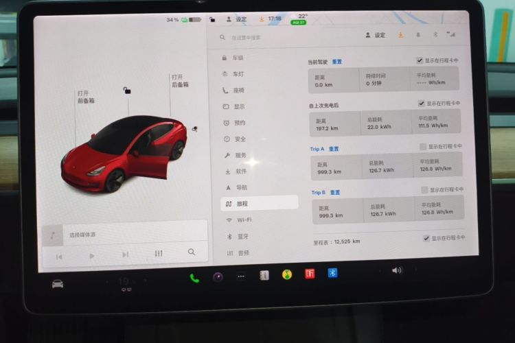 Tesla Model 3 2021 car image #12
