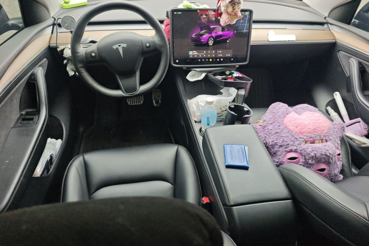 Tesla Model Y 2023 #12 Tesla Model Y 2023 car image #12