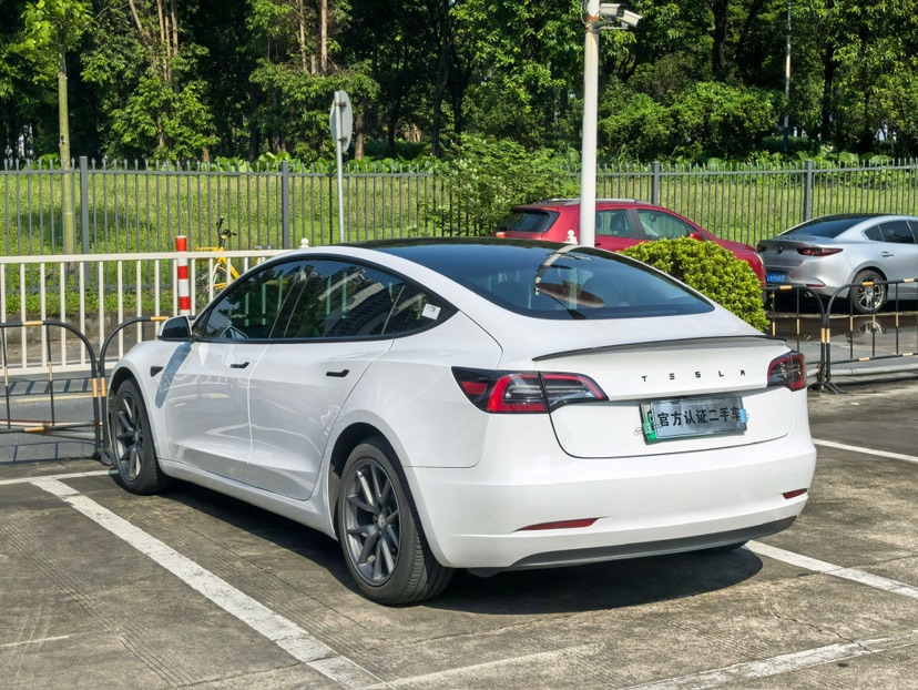 Tesla Model 3 2021 car image #7