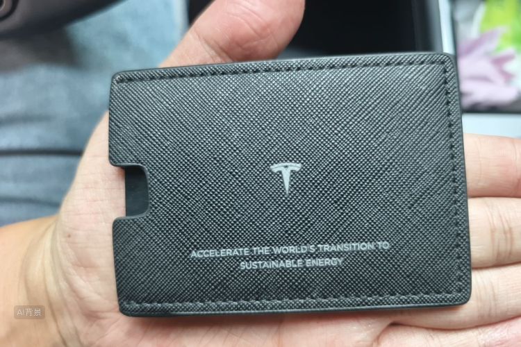 Tesla Model 3 2021 car image #10