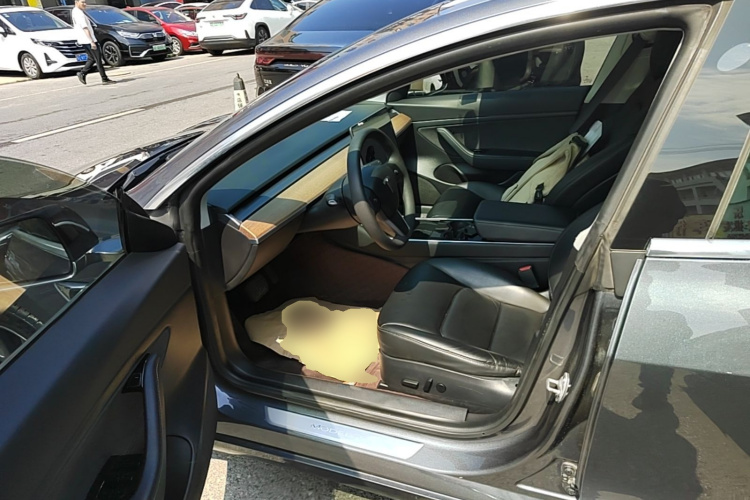 Tesla Model 3 2020 #15 Tesla Model 3 2020 car image #15